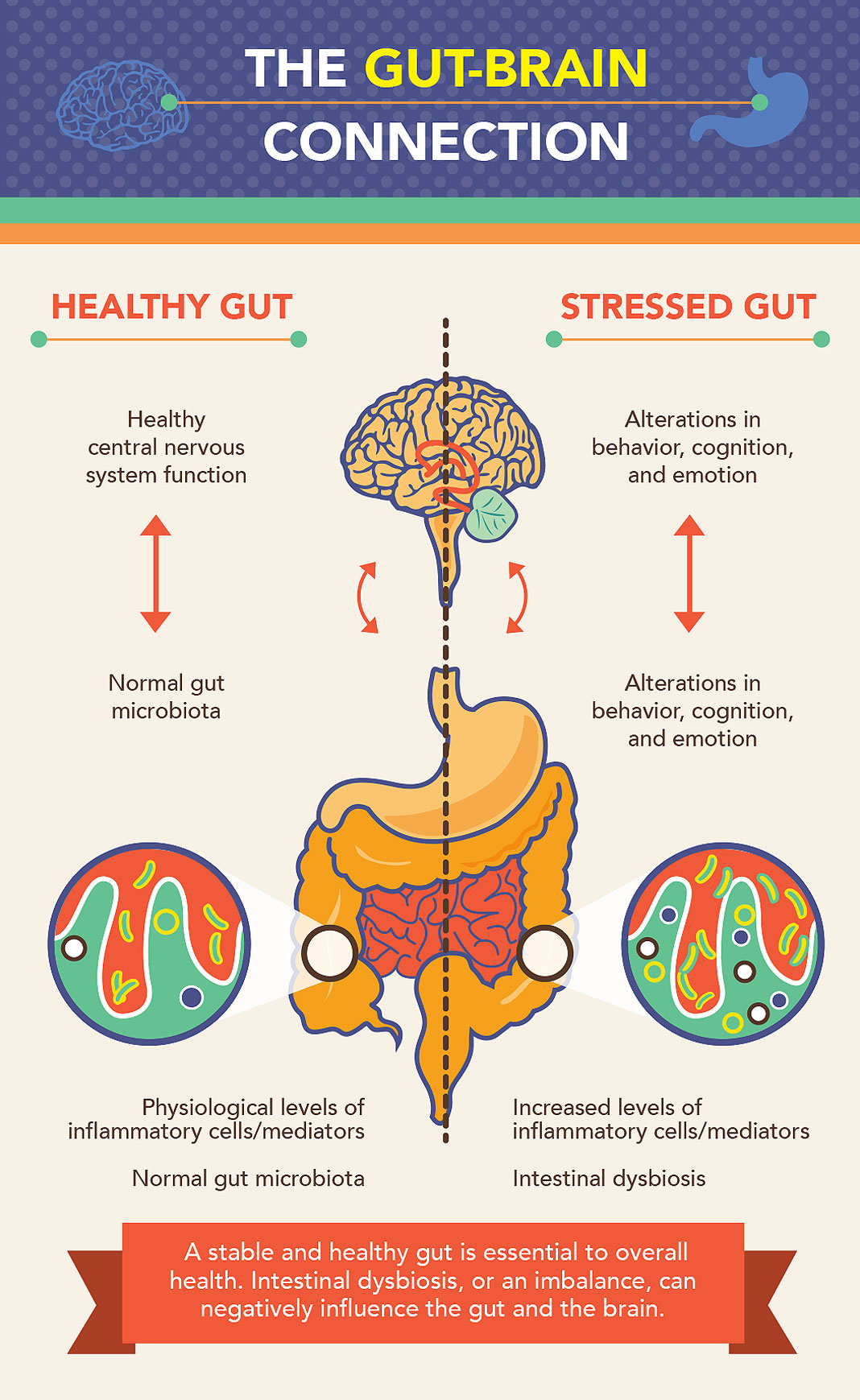 gi-health-001
